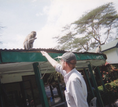 Feeding-monkey